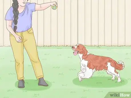 Image titled Stop a Dog from Humping Step 5