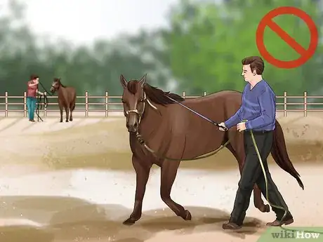 Image titled Teach a Horse to Rear Step 1