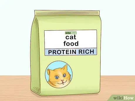 Image titled Feed a Feline Cancer Patient Step 4