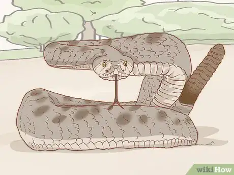 Image titled Pick up a Snake Step 9