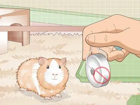 Image titled Properly Care for Your Guinea Pigs Step 16
