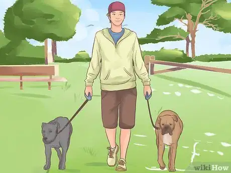 Image titled Walk Two Dogs on Leashes Step 12