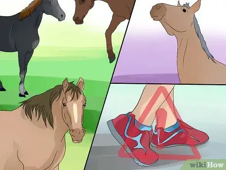 Image titled Train a Horse to Respect You Step 2