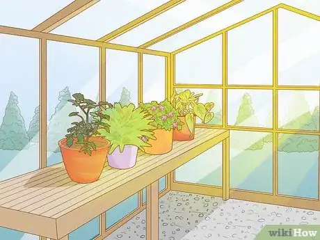 Image titled Arrange the Inside of a Greenhouse Step 10