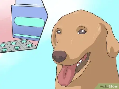 Image titled Safely Sedate a Dog Step 3
