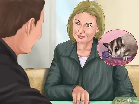 Image titled Pick a Healthy Sugar Glider Step 10