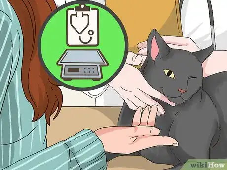 Image titled Assess Your Cat's Weight Step 9