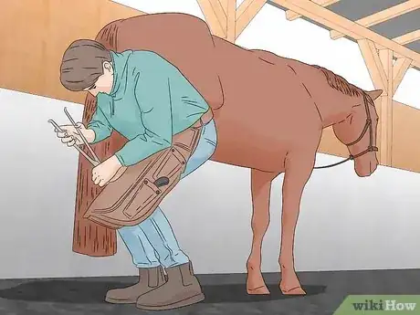 Image titled Be a Farrier Step 1