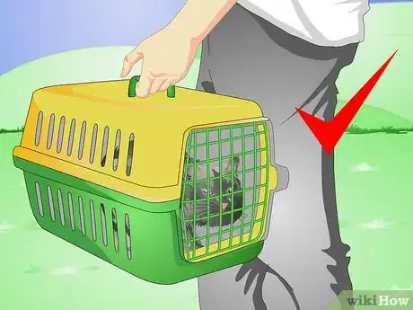 Image titled Get Your Cat Spayed Step 8