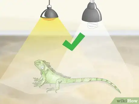 Image titled Care for an Iguana Step 1