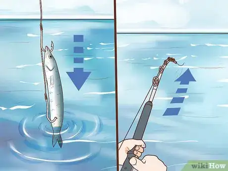 Image titled Catch Kingfish Step 11