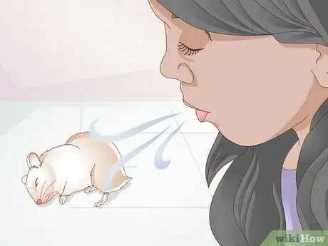 Image titled Wake up Your Hamster Without Scaring It Step 3