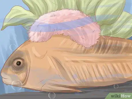Image titled Keep Your Fish from Dying Step 8