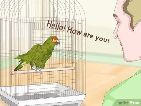 Image titled Teach Parrots to Talk Step 13