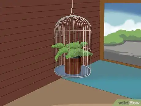Image titled Decorate a Bird Cage Step 1