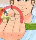 Interact with Your Conure