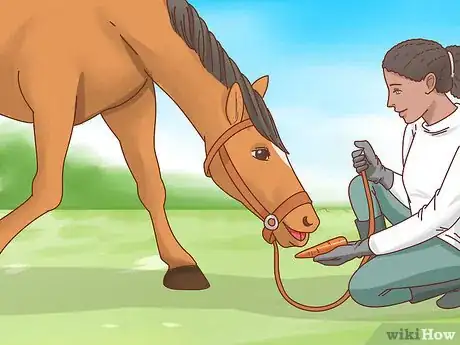 Image titled Teach a Horse to Bow Step 10