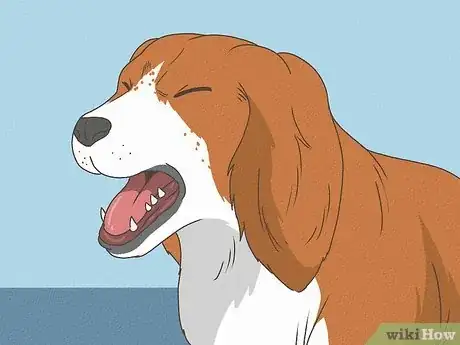 Image titled Know When Your Dog is Sick Step 2