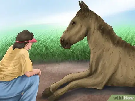 Image titled Teach Your Horse to Lie Down Step 4
