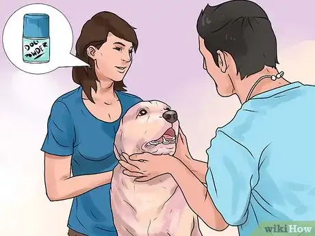 Image titled Rid Your Pet of Fleas Step 9