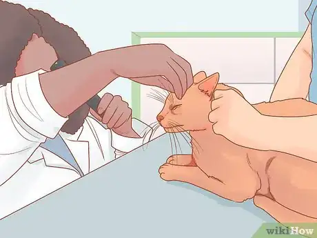 Image titled Stop Your Cat from Begging Step 1