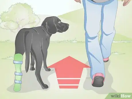 Image titled Take Care of an Injured Dog Step 17