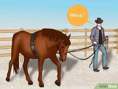 Image titled Train a Horse to Drive Step 10