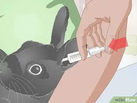Image titled Give a Rabbit Medication Step 23