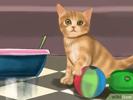 Image titled Retrain a Cat to Use the Litter Box Step 2