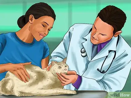 Image titled Diagnose and Treat Ruptured Eardrums in Cats Step 5