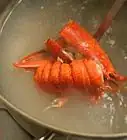 Clean a Lobster