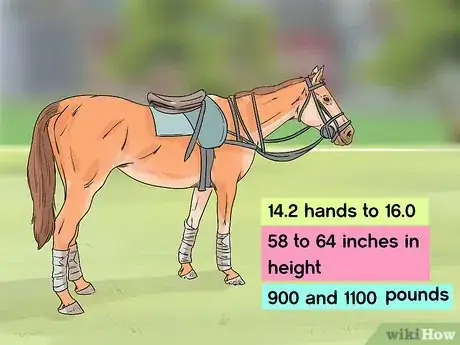 Image titled Play Polo Step 3