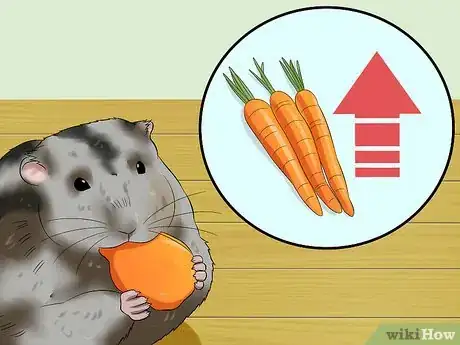 Image titled Prepare Carrots for Your Hamster Step 9