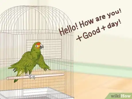 Image titled Teach Parrots to Talk Step 15