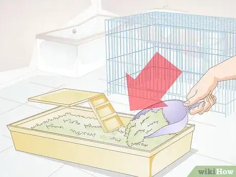 Image titled Clean a Rat's Cage Step 12
