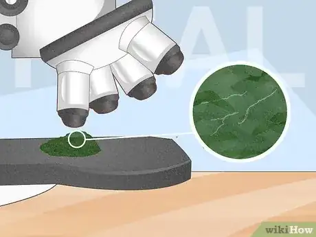 Image titled Tell if Moldavite is Real Step 5