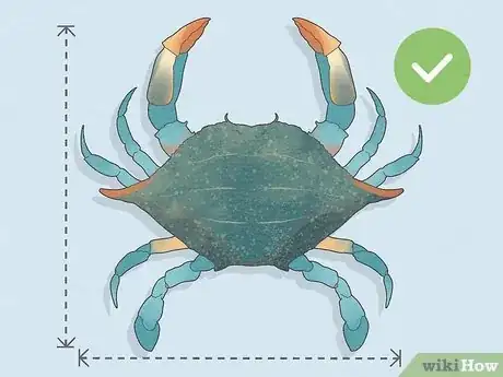 Image titled Eat a Maryland Blue Crab Step 3