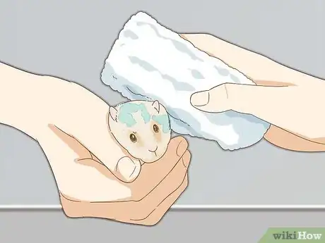 Image titled Give Your Hamster a Bath Step 8