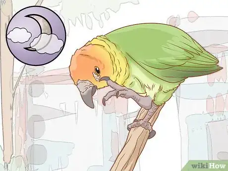Image titled Tell if Your Bird Has Mites Step 3