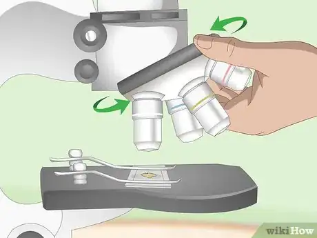 Image titled Use a Light Microscope Step 9