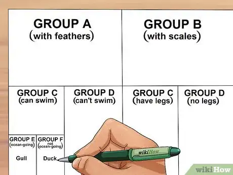 Image titled Make a Dichotomous Key Step 7