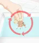 Give Your Hermit Crab a Bath