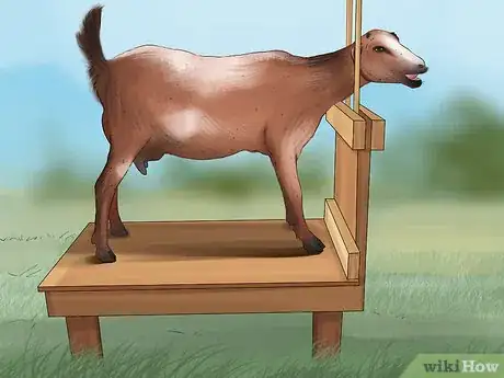Image titled Breed Goats Step 19