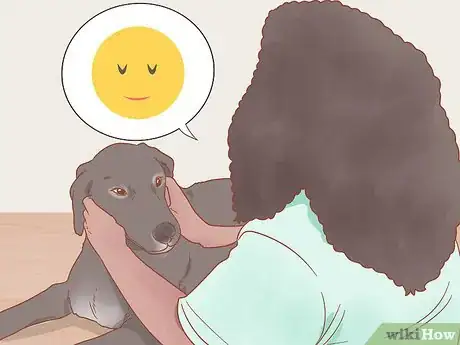 Image titled Get a Dog to Stop Whining Step 11