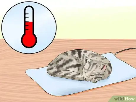 Image titled Treat Feline Panleukopenia (Distemper) Step 12