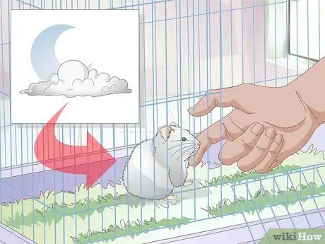 Image titled Get a Hamster to Sleep Step 2