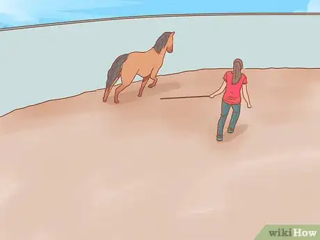 Image titled Join Up With a Horse Step 11