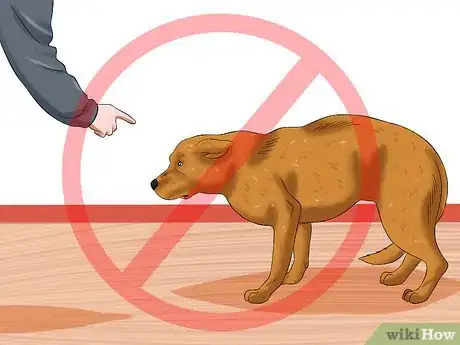 Image titled Train Your Dog to Be Calm Step 5