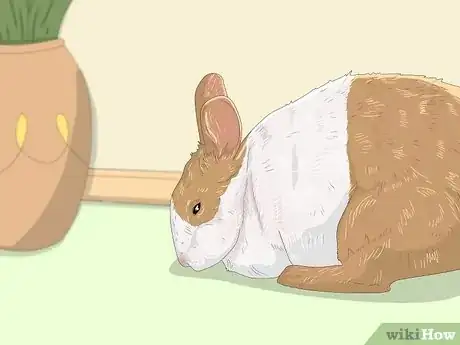 Image titled Read Bunny Body Language Step 11