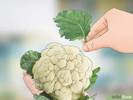 Image titled Harvest Cauliflower Step 5
